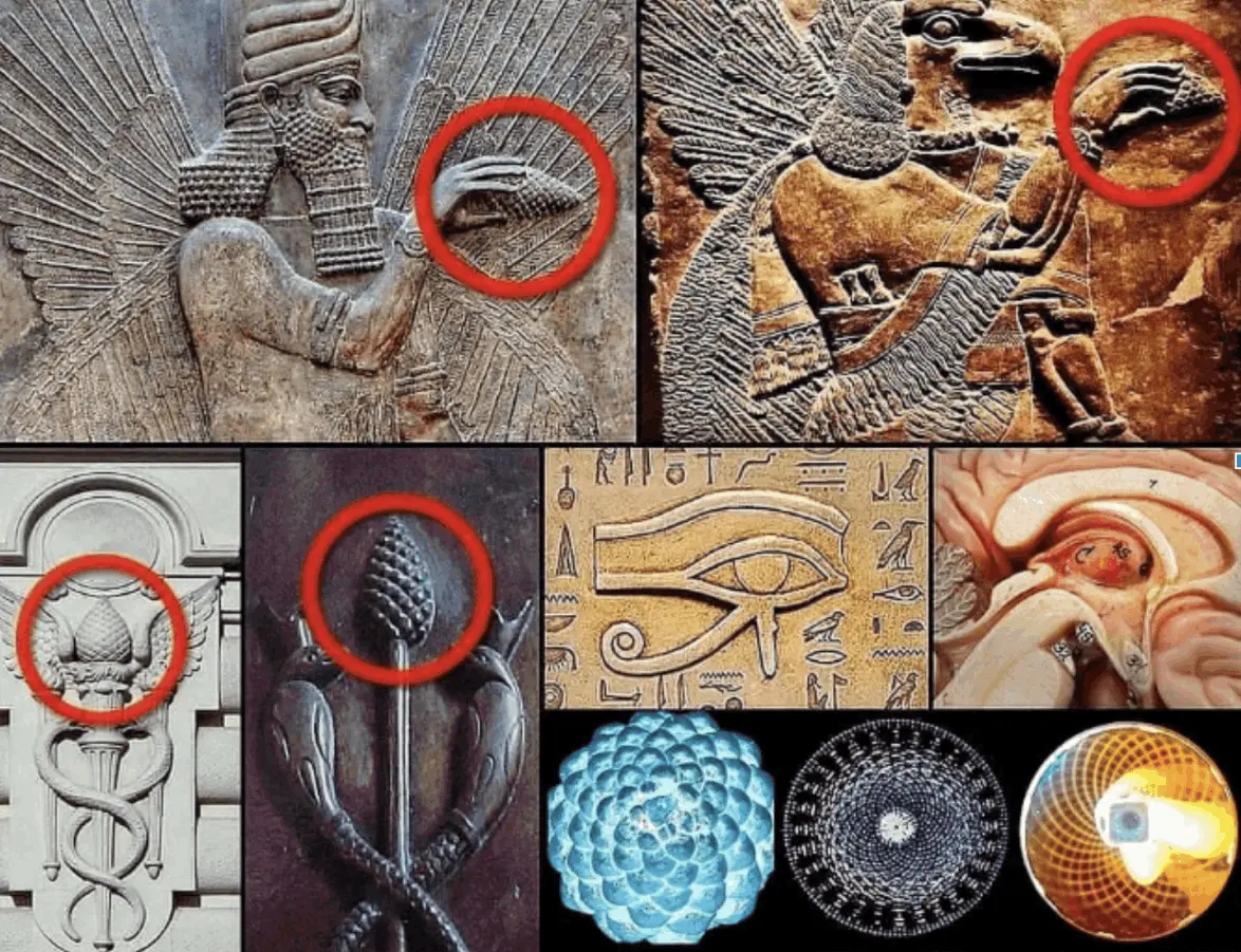 Shifting _Vibrations_audio_program